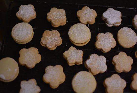 Alfajores argentins empilés, sablés pâles fourrés de dulce de leche avec les bords roulés dans la noix de coco râpée