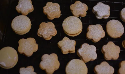 Alfajores argentins empilés, sablés pâles fourrés de dulce de leche avec les bords roulés dans la noix de coco râpée