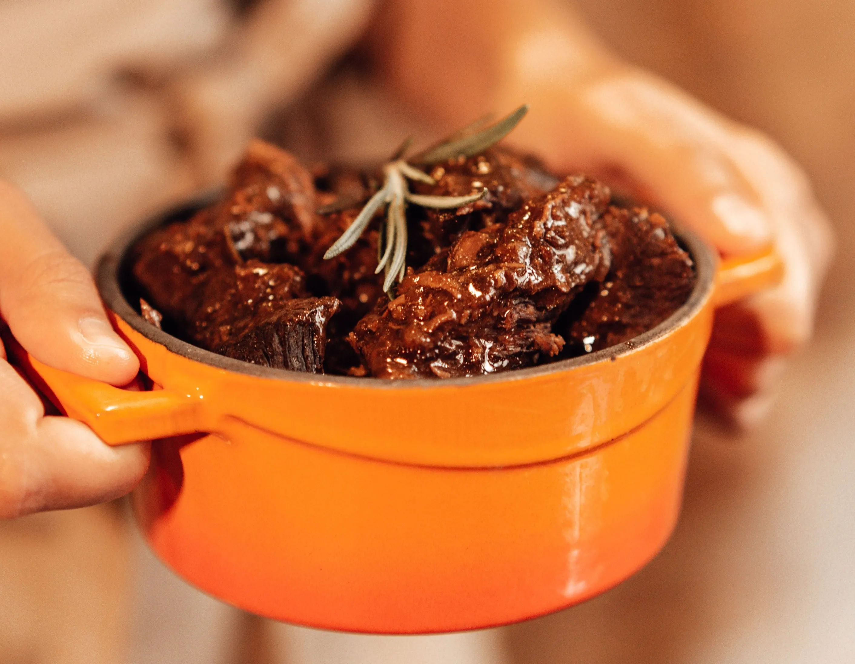 Bœuf bourguignon bouillonnant dans une cocotte en fonte noire, avec champignons, oignons grelots et sauce au vin rouge de Bourgogne