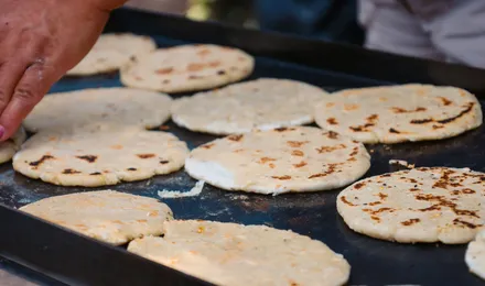 Taloa basque, galette de maïs dorée pliée sur une garniture de ventrèche grillée et fromage de brebis fondant