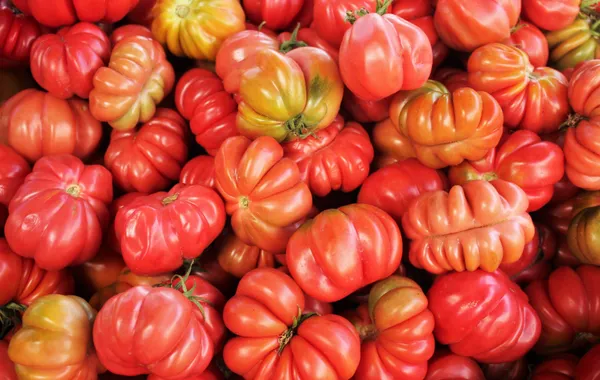 Tranches épaisses de tomate cœur de bœuf au sel et à l'huile d'olive sur une planche en bois