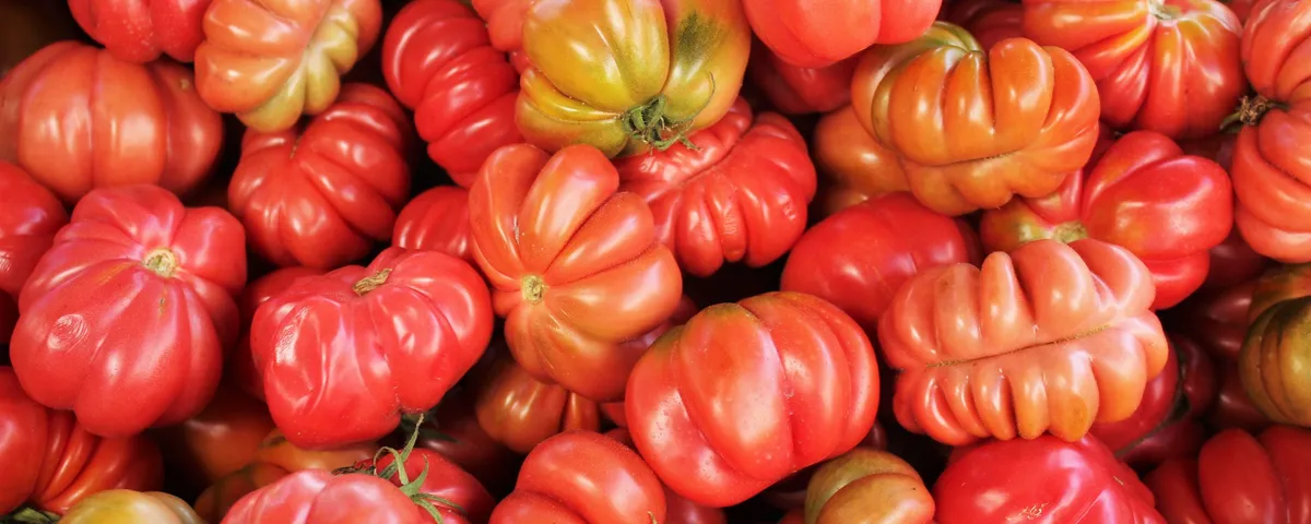 Tranches épaisses de tomate cœur de bœuf au sel et à l'huile d'olive sur une planche en bois