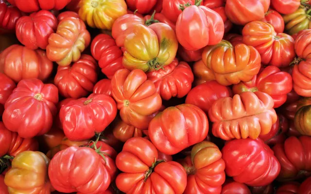 Tranches épaisses de tomate cœur de bœuf au sel et à l'huile d'olive sur une planche en bois